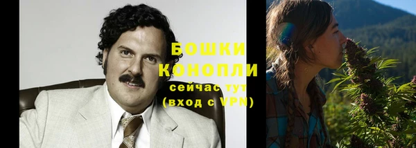 гидра Кукмор