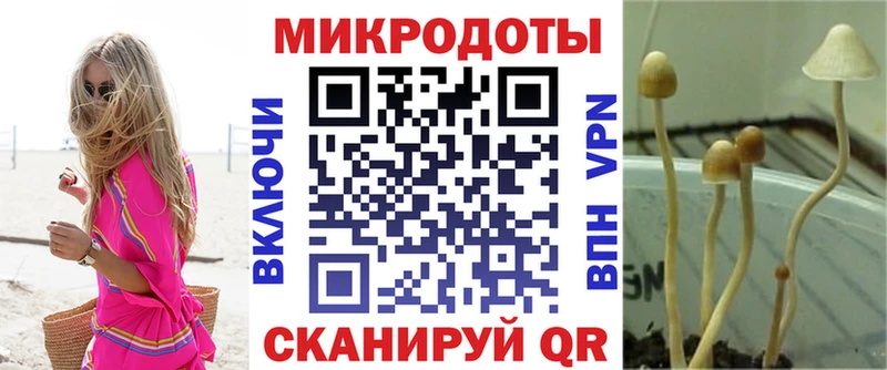 где найти наркотики  площадка формула  KRAKEN рабочий сайт  Галлюциногенные грибы Magic Shrooms  Луза 